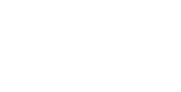 Steam
